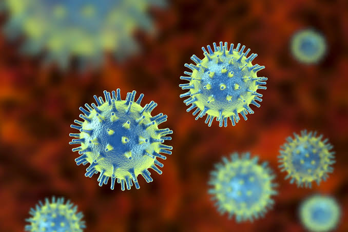 chitchat virus chitchat virus