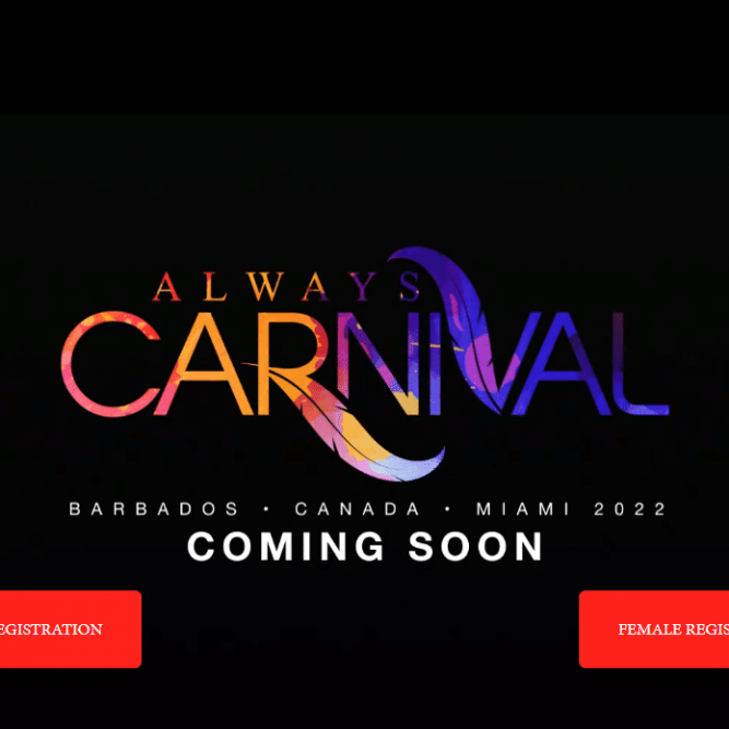 Inclide portfolio - always carnival